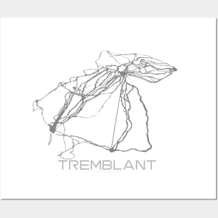 Tremblant Resort 3D Posters and Art